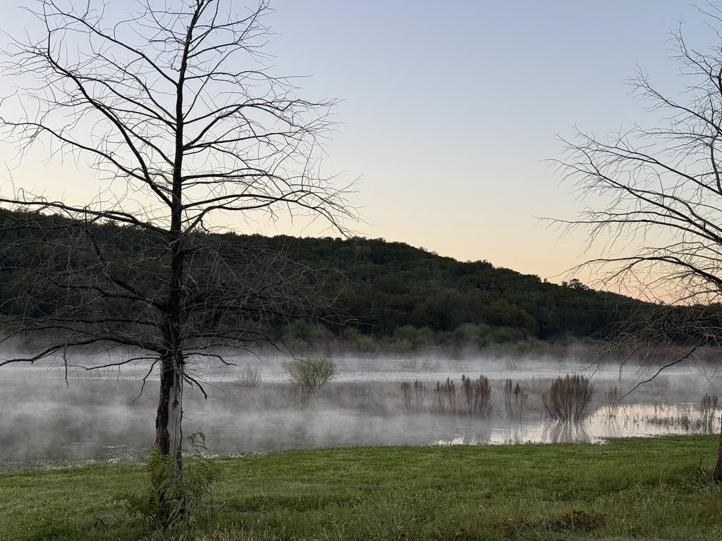 Morning fog