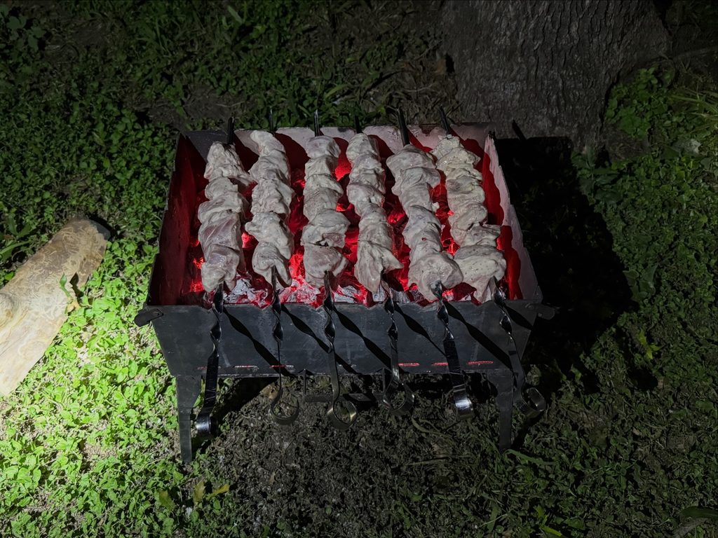 Shashlik on the grill
